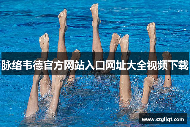 脉络韦德官方网站入口网址大全视频下载